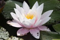 2017-07-19 Wandeling Loenen