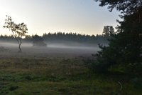 DSC 3456  Loenermark