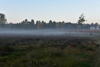 DSC 3462  Loenermark