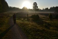 DSC 3513  Loenermark