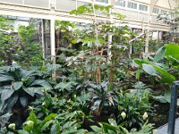 IMG 20210910 153759426