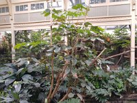 IMG 20210910 153807271