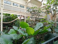 IMG 20210910 153813872